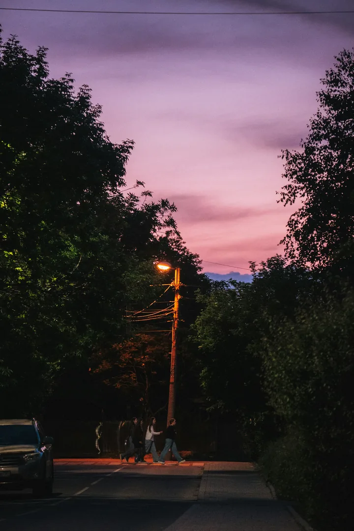 A leafy street under a purple sunset sky, one streetlight glowing
