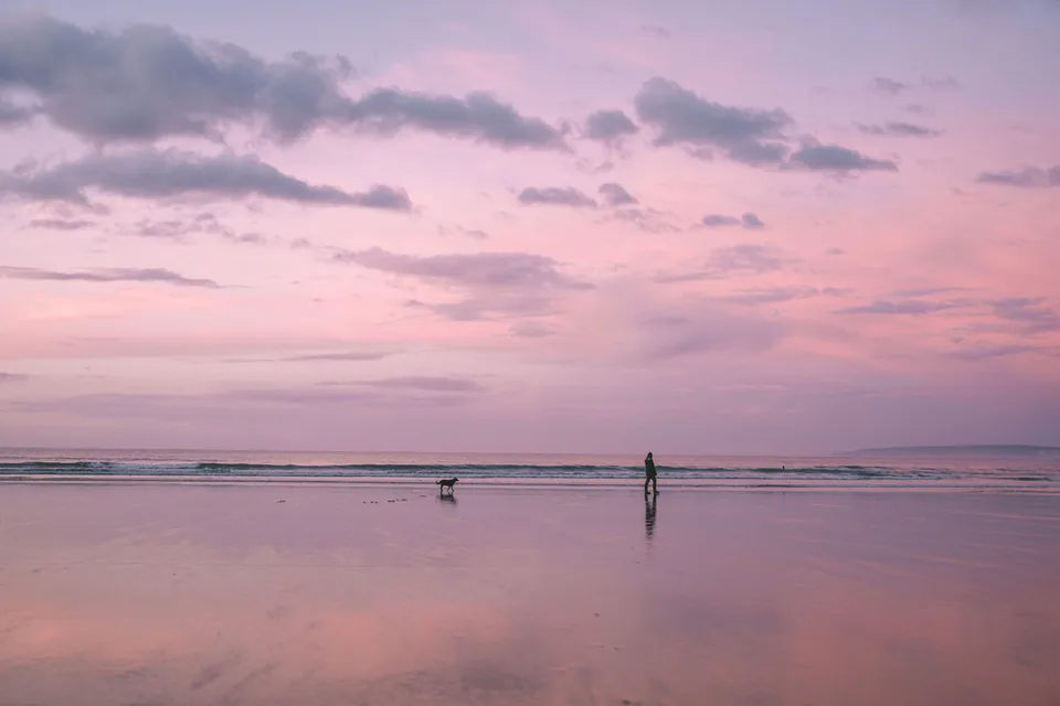 A person and a dog walking a lavender beach at sunset